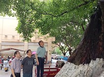 区政协副主席夏尧宣到龙水镇巡林检查工作